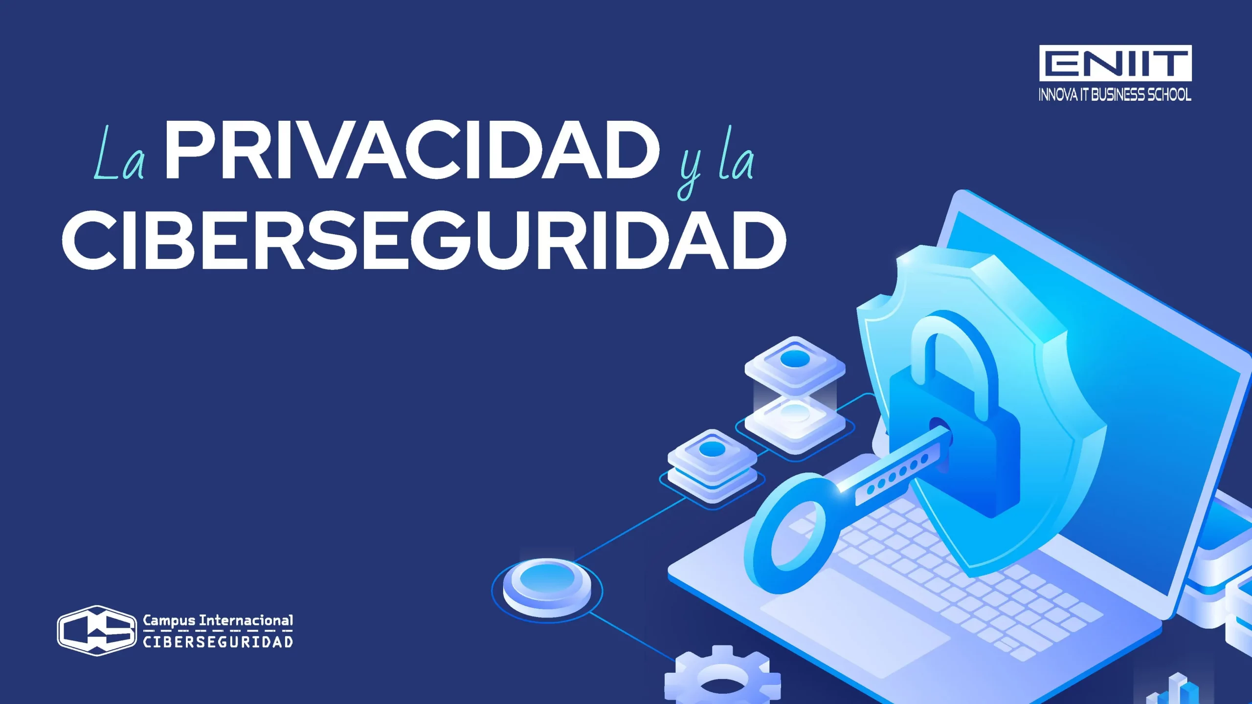 La privacidad y la ciberseguridad