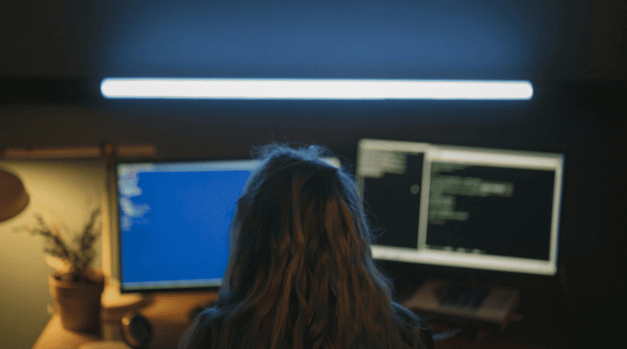 Reconocimiento y enumeración  avanzada en el Bug Hunting (2)